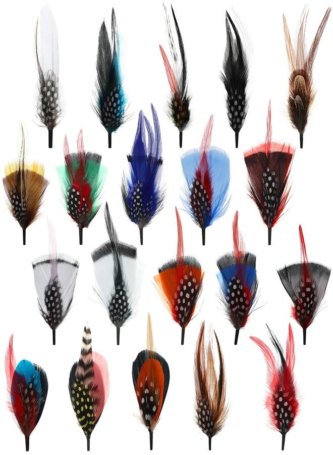 Syhood 20 Pcs Hat Feathers, Assorted Feathers for Hats Colorful Real Feathers Accessories for Men Women(Classic Style) - Image 1
